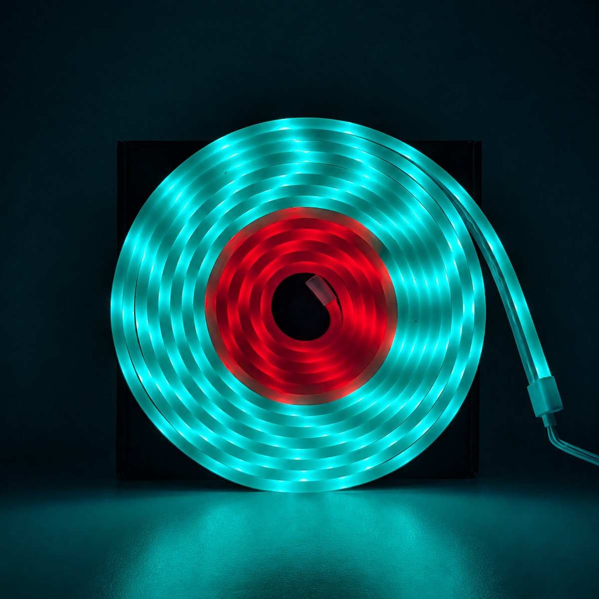 LED Neon RGB Magic - Box Back 5 Meters Remote and App Info